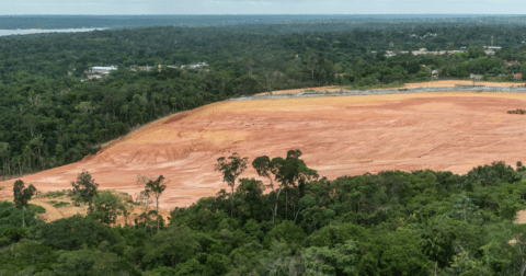 Amazon rainforest deforestation