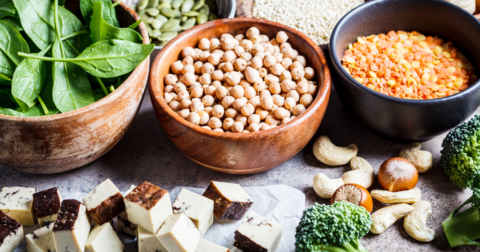 Plant sources of protein