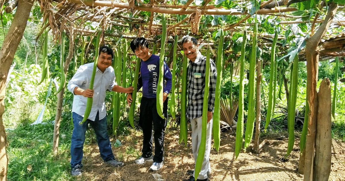 Three people standing near hanging vegetation