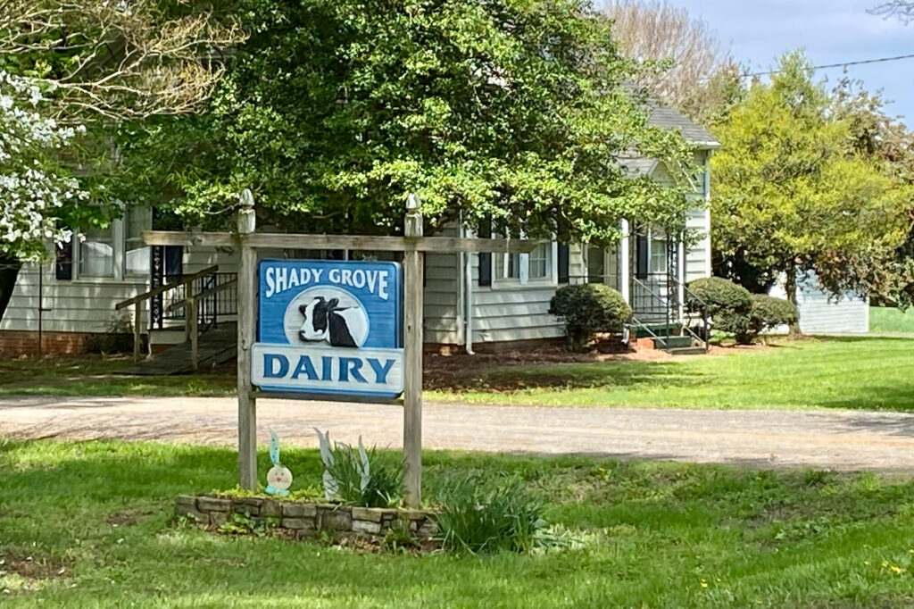 Shady Grove Dairy in Yadkin County, 