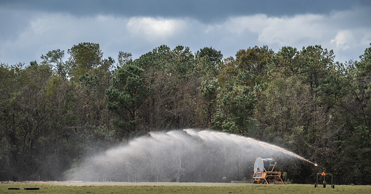 Manure sprayed on fields in Duplin County NC