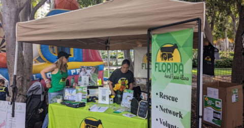 A booth hosted by FARA